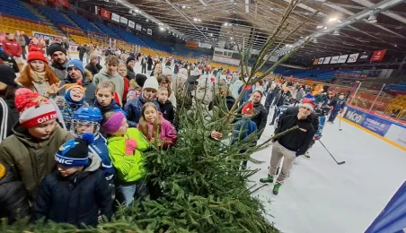 Wielka Świąteczna Ślizgawka, 6.12.2024