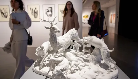 Wystawa absolwentów WSP UMK