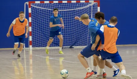 Prezentacja Elany Toruń