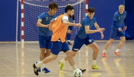 Prezentacja Elany Toruń