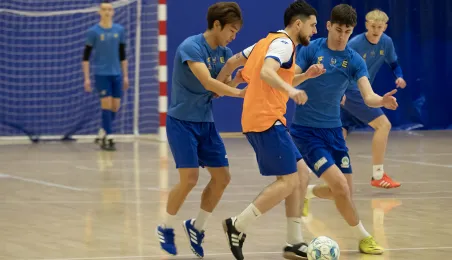 Prezentacja Elany Toruń