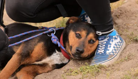 Święconka w kasku 2025, 19.04.2025 r.