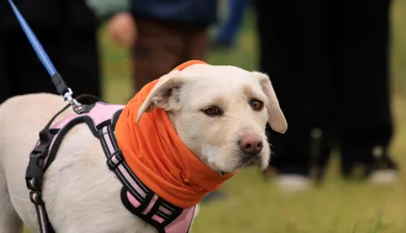 Święconka w kasku 2025, 19.04.2025 r.