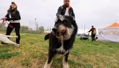 Święconka w kasku 2025, 19.04.2025 r.