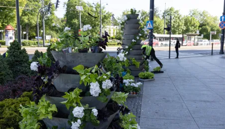 Nasadzenia kwiatów, 27.05.2025 r.