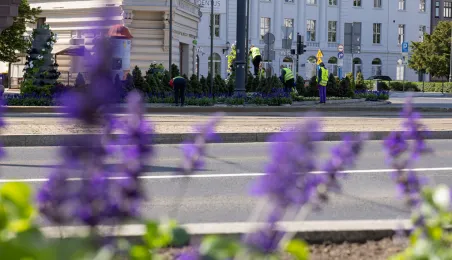 Nasadzenia kwiatów, 27.05.2025 r.