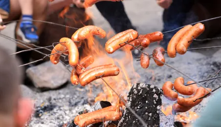 Piknik na Dzień Flagi 