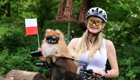 Piknik na Dzień Flagi 