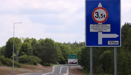 Toruń połączony z Lubiczem