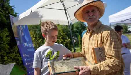 Festyn w Parafii pw. Matki Bożej Królowej Polski