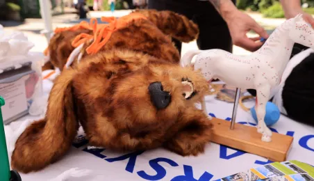 Niedzielna edukacja w Ogrodzie Zoobotanicznym