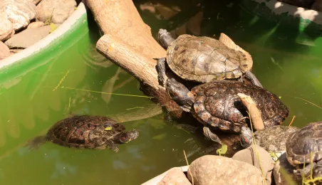 Niedzielna edukacja w Ogrodzie Zoobotanicznym