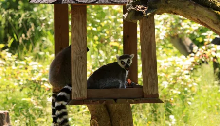 Niedzielna edukacja w Ogrodzie Zoobotanicznym
