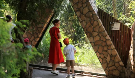 Niedzielna edukacja w Ogrodzie Zoobotanicznym