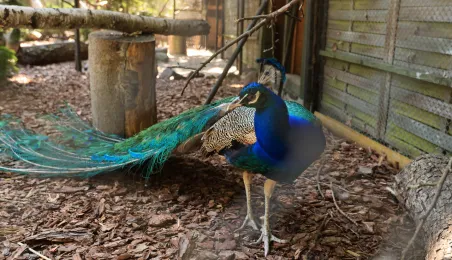 Niedzielna edukacja w Ogrodzie Zoobotanicznym
