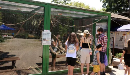Niedzielna edukacja w Ogrodzie Zoobotanicznym