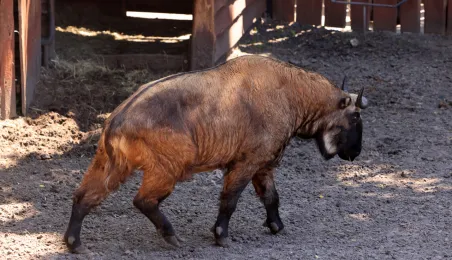 Niedzielna edukacja w Ogrodzie Zoobotanicznym