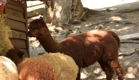 Niedzielna edukacja w Ogrodzie Zoobotanicznym