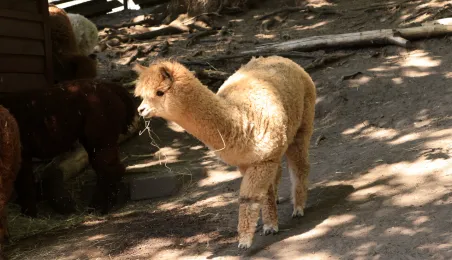 Niedzielna edukacja w Ogrodzie Zoobotanicznym