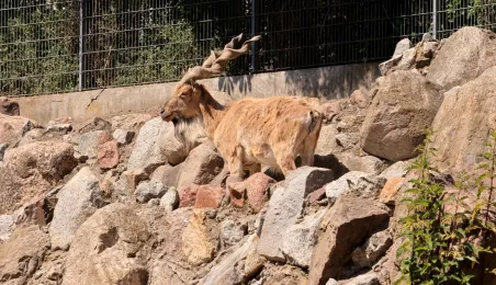 Niedzielna edukacja w Ogrodzie Zoobotanicznym
