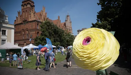 Śniadanie na trawie 