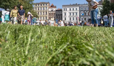 Śniadanie na trawie 