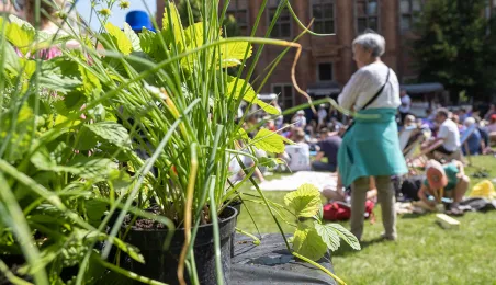 Śniadanie na trawie 