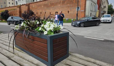  Ukwiecony Bulwar Filadelfijski