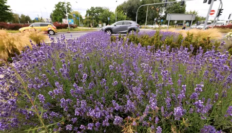 Rondo im. Witalisa Ugrechlidze