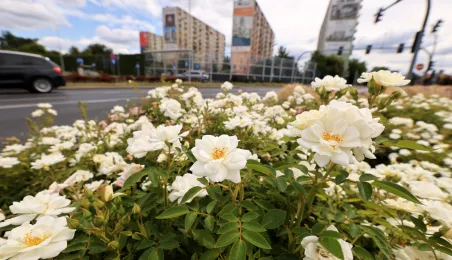 Rondo im. Witalisa Ugrechlidze