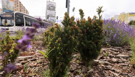 Rondo im. Witalisa Ugrechlidze