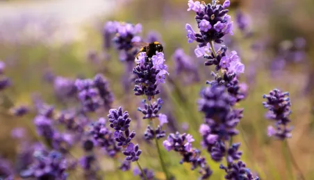Rondo im. Witalisa Ugrechlidze