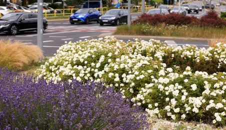 Rondo im. Witalisa Ugrechlidze