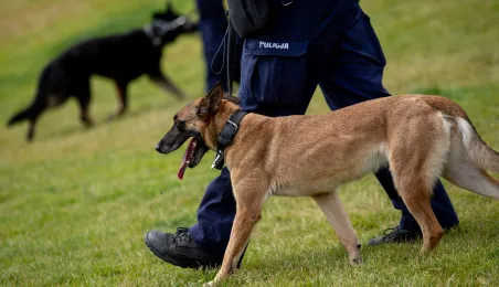 Festyn z okazji Święta Policji
