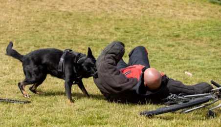 Festyn z okazji Święta Policji