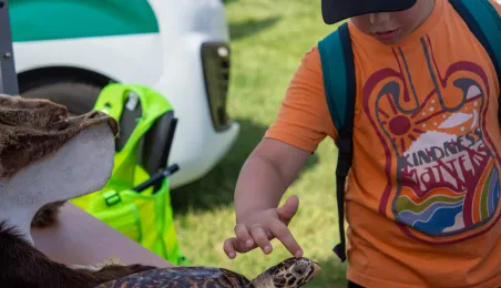 Święto Wojska Polskiego 2025 - Rodzinny Piknik Militarny