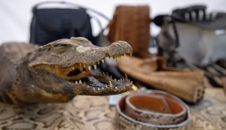 Święto Wojska Polskiego 2025 - Rodzinny Piknik Militarny