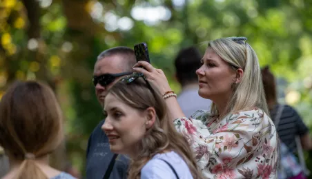 Pokazowe karmienie pand małych