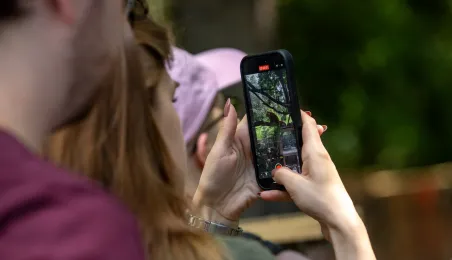 Pokazowe karmienie pand małych