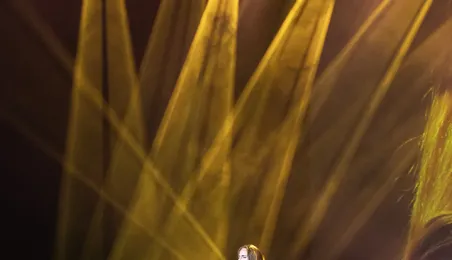 Otwarcie Festiwalu Piosenki i Ballady Filmowej