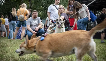 Piknik Przyjaciół Schroniska