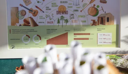 Ekologiczne Miasteczko na Rynku, 20.09.2025 r.