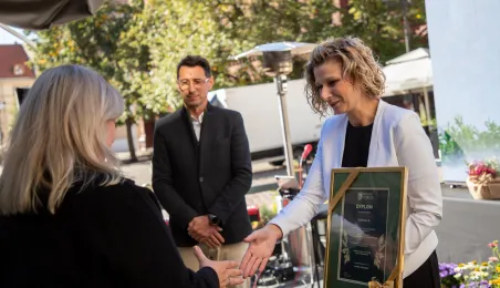 Najbardziej zielony ogródek toruńskiej starówki