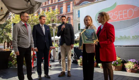 Najbardziej zielony ogródek toruńskiej starówki