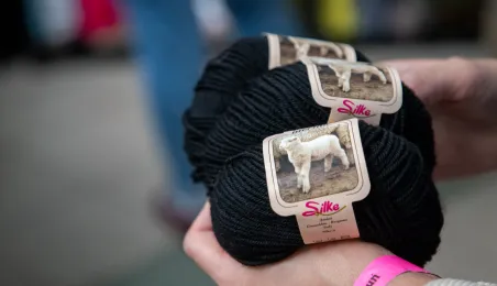 Drutozlot 2025 w Toruniu