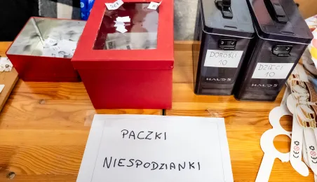 Świąteczna Bitwa Gwiazd po raz kolejny w Toruniu