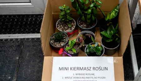 Świąteczna Bitwa Gwiazd po raz kolejny w Toruniu