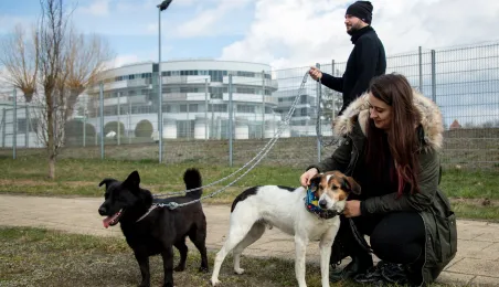 Święconka w kasku – wielkanocna tradycja na dwóch kołach