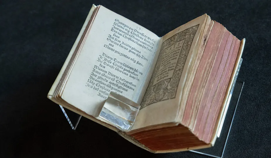 Wizyta ministra kultury Republiki Litewskiej, cz. 2