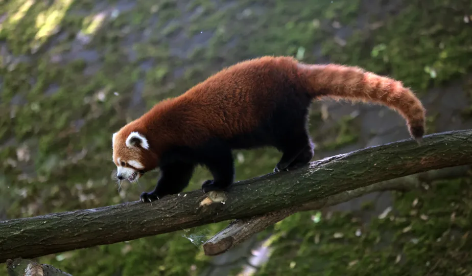 Niedzielna edukacja w Ogrodzie Zoobotanicznym